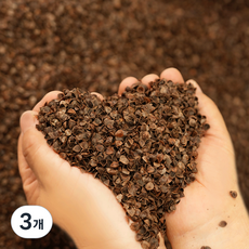 Sarang Yegam 蕎麥枕頭填充物 1kg, 單一顏色, 3個