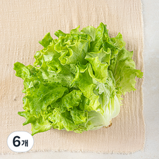 국내산 카이피라, 200g, 6개
