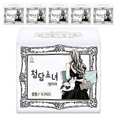 Chung-dam 蝶翼型衛生棉, 16片, 6包, 中型(24cm)