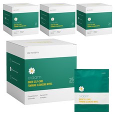 OLDam 女用私密濕紙巾 25包入, 125g, 4個