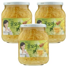 담터꿀모과차, 770g, 1개입, 3개