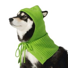 SPUTNIK針織寵物帽 綠色 - 時尚可愛寵物保暖帽, S, 1個
