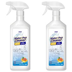 DASH 워터팝 물때 클리너, 750ml, 2개