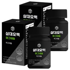 삼대오백 마그네슘 33g, 30정, 2개