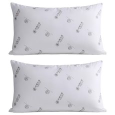 Ishur 伊舒爾 星級銀離子抗菌枕, 2個