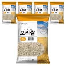 대구농산 건강한밥상 미국산 보리쌀, 2kg, 5개