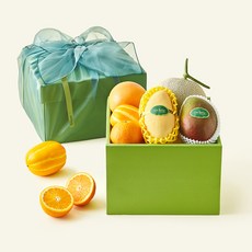 온브릭스 과일 6종 선물세트 토파즈 1호 3.6kg 고급보자기 포함, 1세트