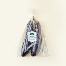 프리미엄 친환경 가지, 2개입, 1개