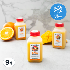 나탈리스 오렌지 망고 착즙 주스 (냉동), 250ml, 9개