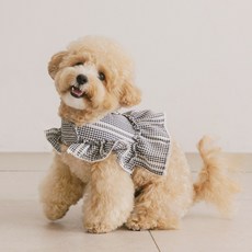 PETSLAND 狗狗海蒂胸背帶, 深海軍藍, 1個