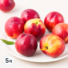 강서시장 새벽경매 당도선별 천도복숭아, 1.5kg, 5개