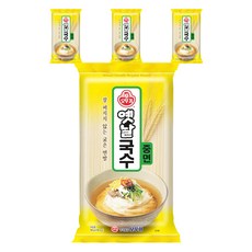OTTOGI 不倒翁 傳統中麵條, 900g, 4個