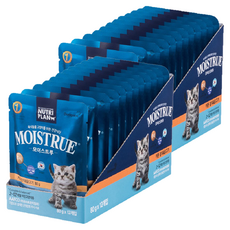동원뉴트리플랜 고양이 키튼 모이스트루 주식파우치 12p, 생선, 960g, 2개