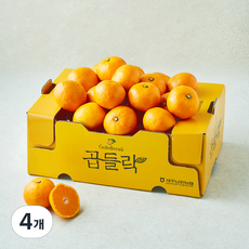 농협 곱들락 감귤, 2kg(로열과), 4개