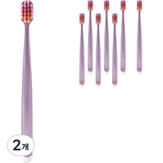 앤리이니 부드러운 이중모 칫솔 퍼플, 8개입, 2개