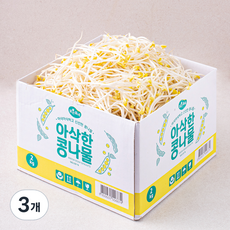 맑은물에 아삭한 콩나물, 2kg, 3개