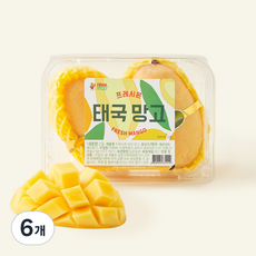 프레시몬 태국산 망고 2입, 6개, 500g