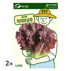 아시아종묘 씨앗 상추 채가원 적치마 1000립, 2개