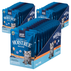 동원뉴트리플랜 고양이 키튼 모이스트루 주식파우치 12p, 생선, 960g, 3개
