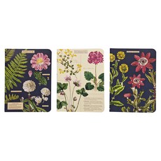 CAVALLINI&CO. 口袋筆記本, 植物圖鑑 青色 + 米黃色, 3本