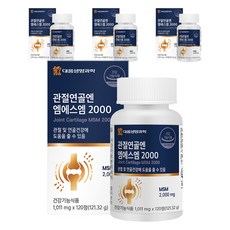 DAEWOONG LIFE SCIENCE MSM 2000補充錠, 120顆, 4個