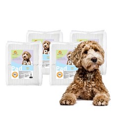 펫코 강아지 배변패드, 4개, 100개입