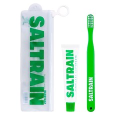 SALTRAIN 灰鹽牙膏牙刷旅行組 牙刷 + 牙膏30g + 防水收納袋 積雪草修護, 1組, 30g