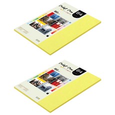 paperculture Print Pro 彩色影印紙 No.07 鮮黃色 80g, B4, 170個