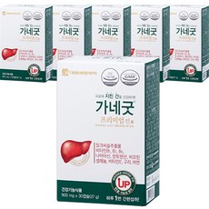 대웅생명과학 가네굿 프리미엄 진 밀크씨슬 세트, 30정, 6개