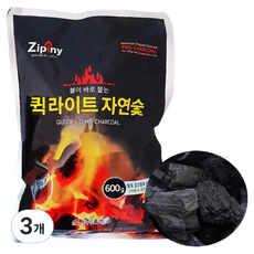 지피니 퀵라이트 자연숯, 600g, 3개