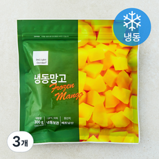 딜라잇가든 망고 (냉동), 3개, 300g