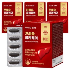 뉴트리디데이 칸씨슬 콜레케어 48g, 60정, 4개