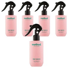 메소드 룸앤패브릭 스프레이 얼리체크인 향 실내 탈취제 본품, 200ml, 5개