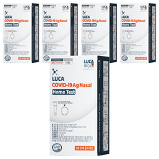 루카에이아이셀 코로나19 자가검사키트, 2개입, 5개
