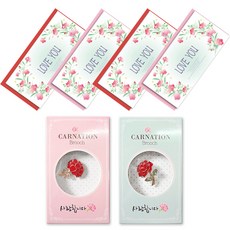 康乃馨愛心胸針 2款 + 水彩康乃馨零用錢卡 4入組, LOVEYOU, 1套