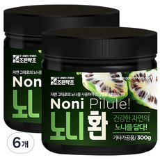 조은약초 굿허브 노니 환, 6개, 300g