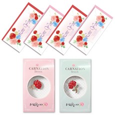 康乃馨愛心胸針 2款 + 水彩花朵零用錢卡 4入組, LOVEYOU, 1套