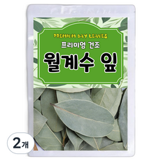 프리미엄 건조 월계수잎 약재 재료, 100g, 2개