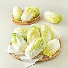 국내산 알배기 배추 12포기, 8kg, 1개, 1개입