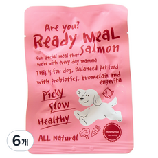 펫다이닝맘마 전연령 강아지 레디밀 습식사료, 6개, 50g, 연어+채소