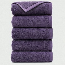 Ashley 現代飯店毛巾 201g 40支精梳棉, 5個, 紫外光色