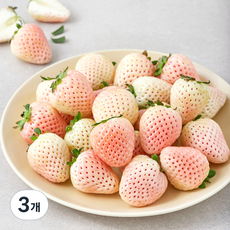 스윗볼 GAP 인증 눈꽃 딸기 특과, 500g, 3개