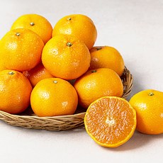 다조은 강서시장 새벽경매 제주천혜향, 1개, 2.8kg(16~20입)