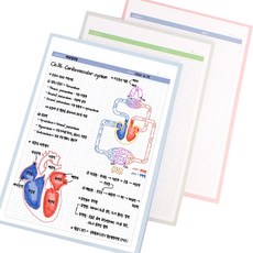 Pandamong 格線備忘錄紙 B5 100張*3入 B款, 藍莓、甜瓜、覆盆子, 1套