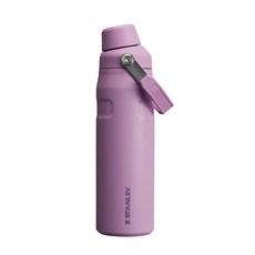 STANLEY 台灣公司貨 輕重力系列 快充瓶, 典雅紫, 700ml, 1個