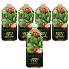 파모빗 사과 양배추 착즙 주스, 1L, 5개