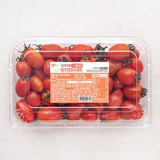 딜리조이 스테비아 대추방울토마토, 1kg, 1개