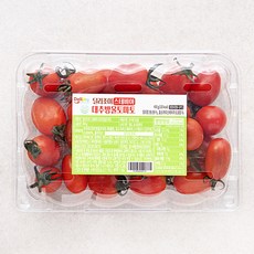 딜리조이 스테비아 대추방울토마토, 450g, 1팩