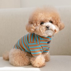 PETSLAND 狗狗Dolce高領T恤, 1個, 棕色