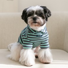 PETSLAND 狗狗Dolce高領T恤, 1個, 炭灰色